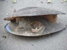 Lažiluzija i Svemirci