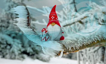 Jedna sasvim „obična“ čestitka