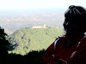 Prilike zvone na vrata