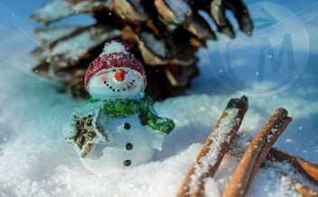 Jedna sasvim „obična“ čestitka