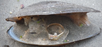 Lažiluzija i Svemirci