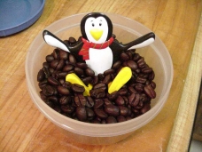 Taština i g. Caslavy